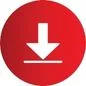 Download Icon